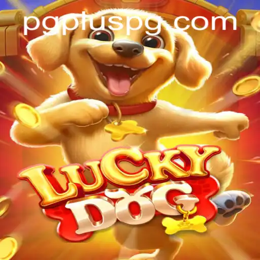 PGPLUS Casino App